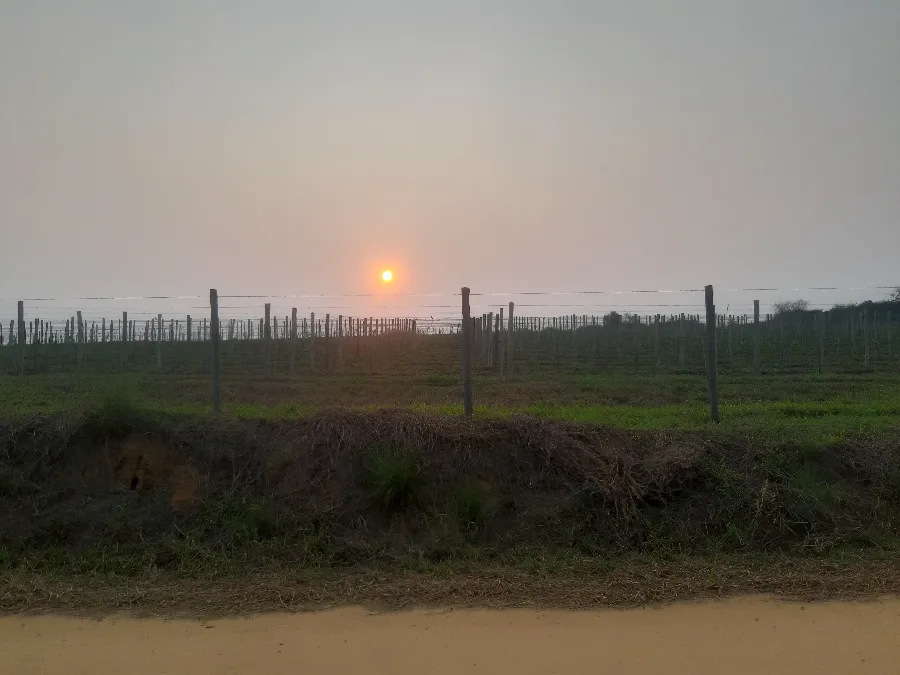 Seu Terreno na Toscana Carioca Espera!