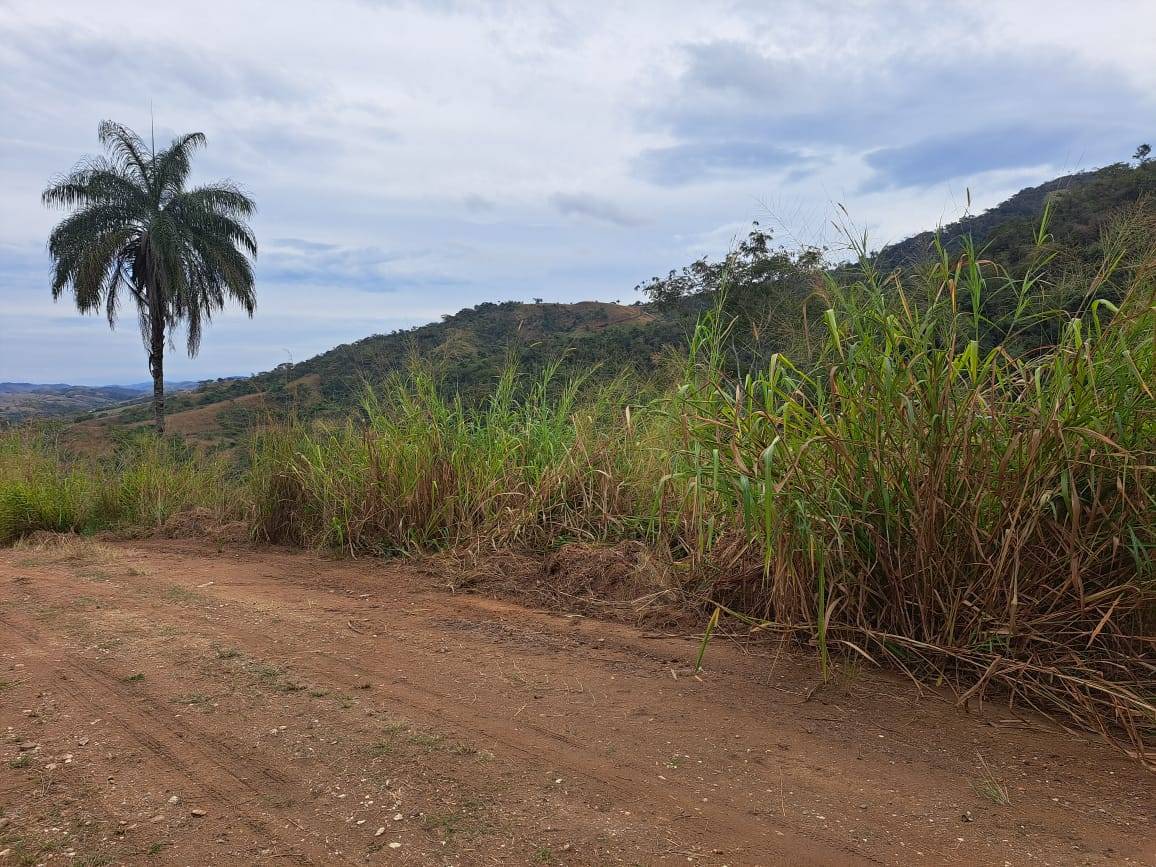 🌿 Propriedade rural com 17 alqueires, lago e nascentes – venda em Paraíba do Sul, RJ