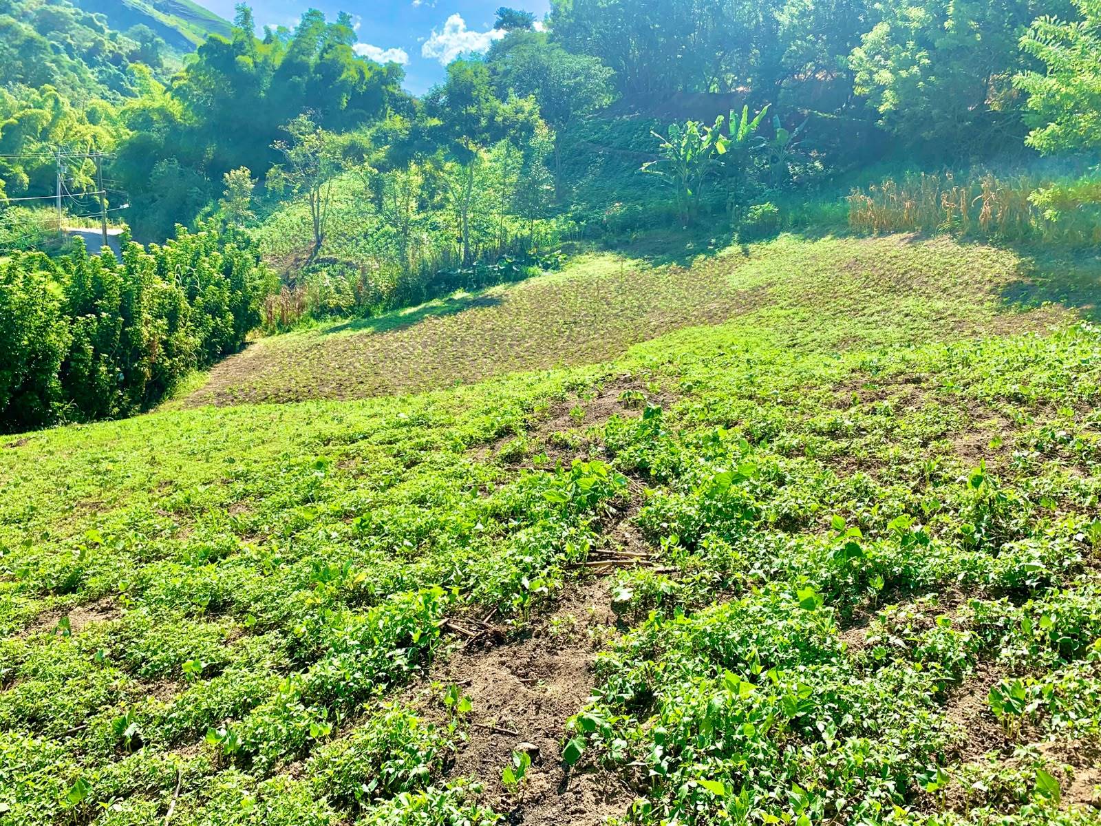 Terreno de 1.999,14m² – venda no Condomínio Serra Santa (Lote 20)
