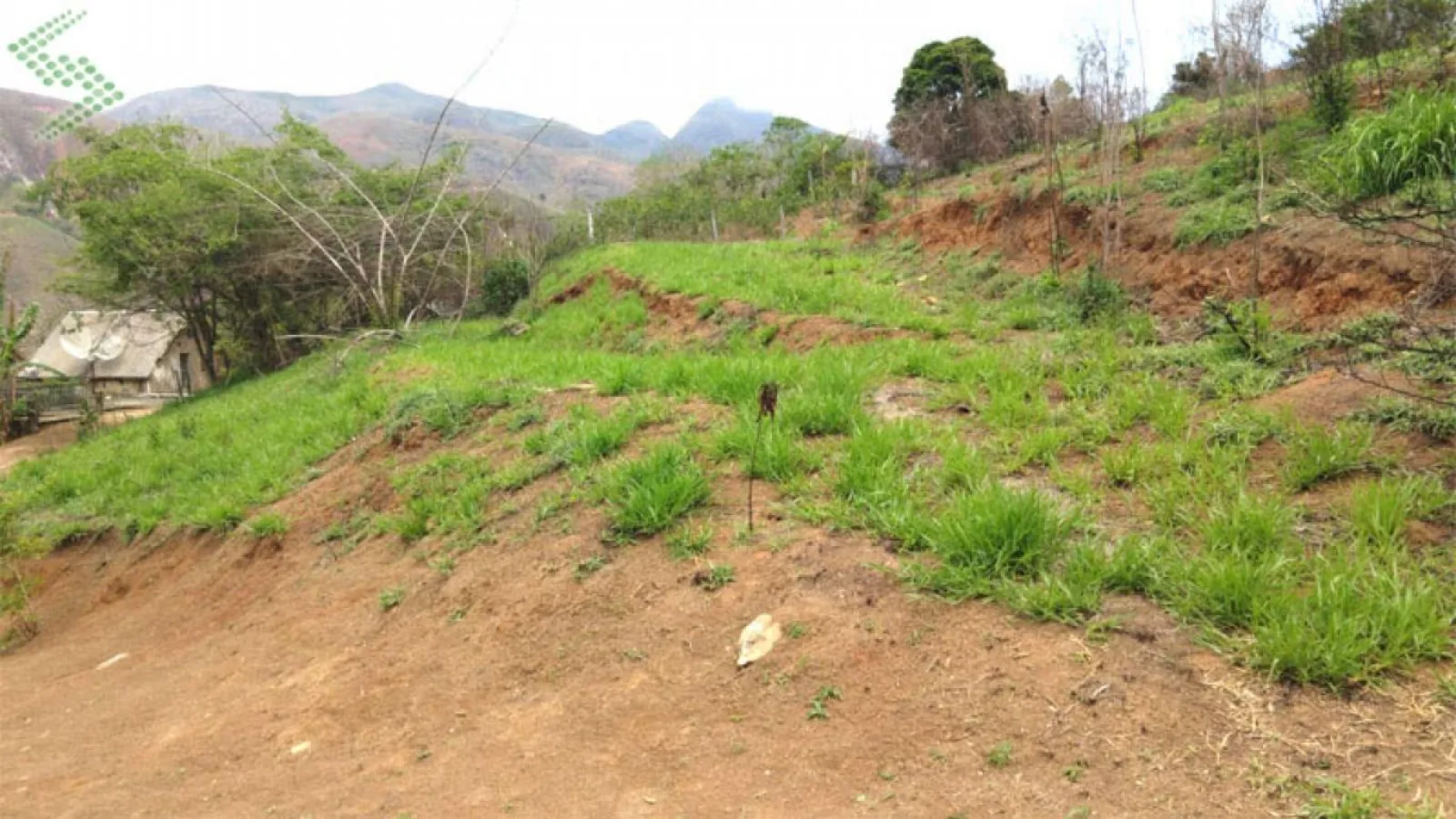 Terreno com 3.800m² e 3 platôs – venda na Posse (água, luz e ônibus na porta)      Terreno pronto para construir, com infraestrutura completa e excelente localização.