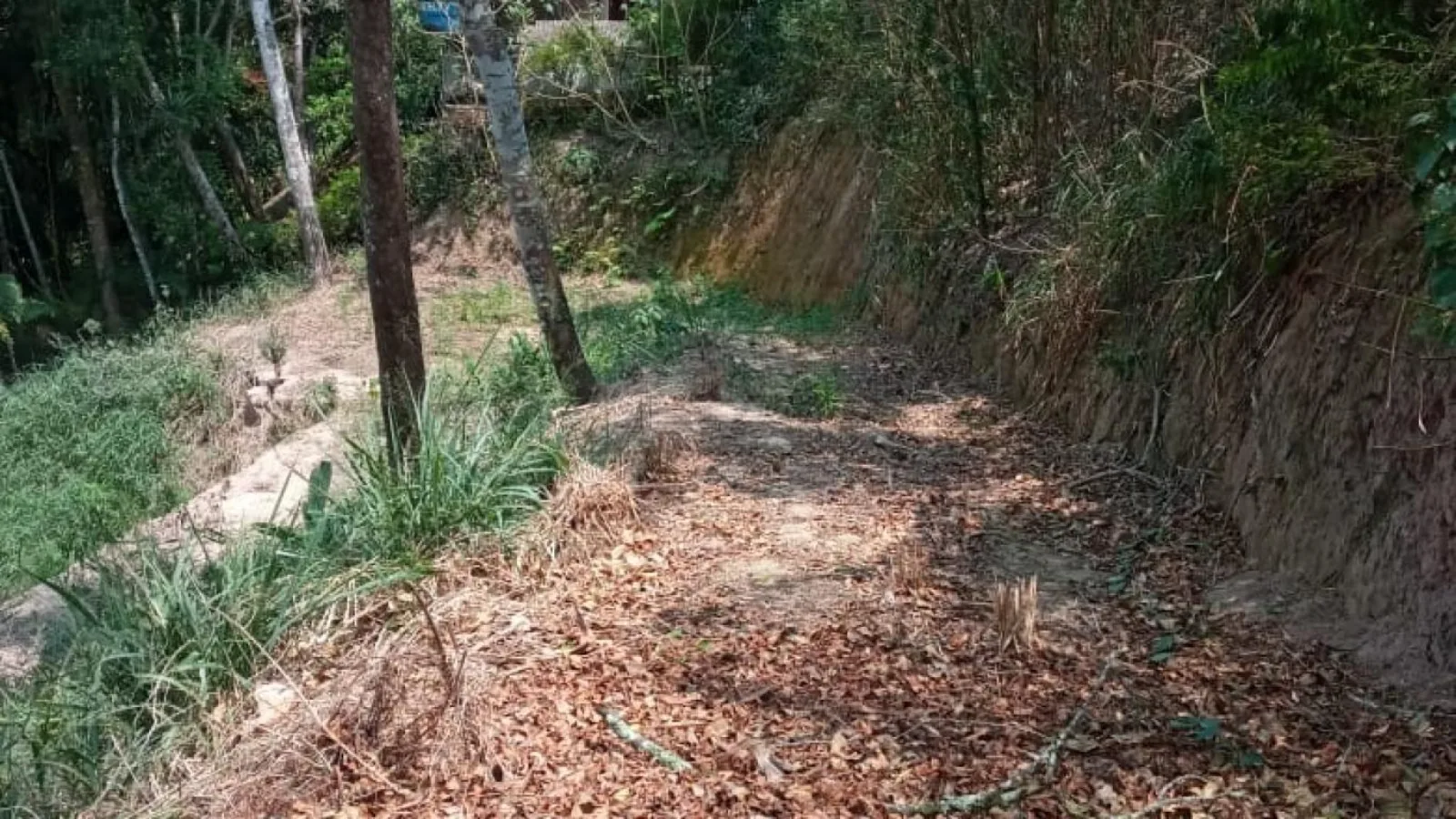 Terreno de 6.200m² com reserva ambiental e platô pronto – venda em condomínio nobre      Acesso fácil, muita privacidade, rampa de acesso e platô já preparado.