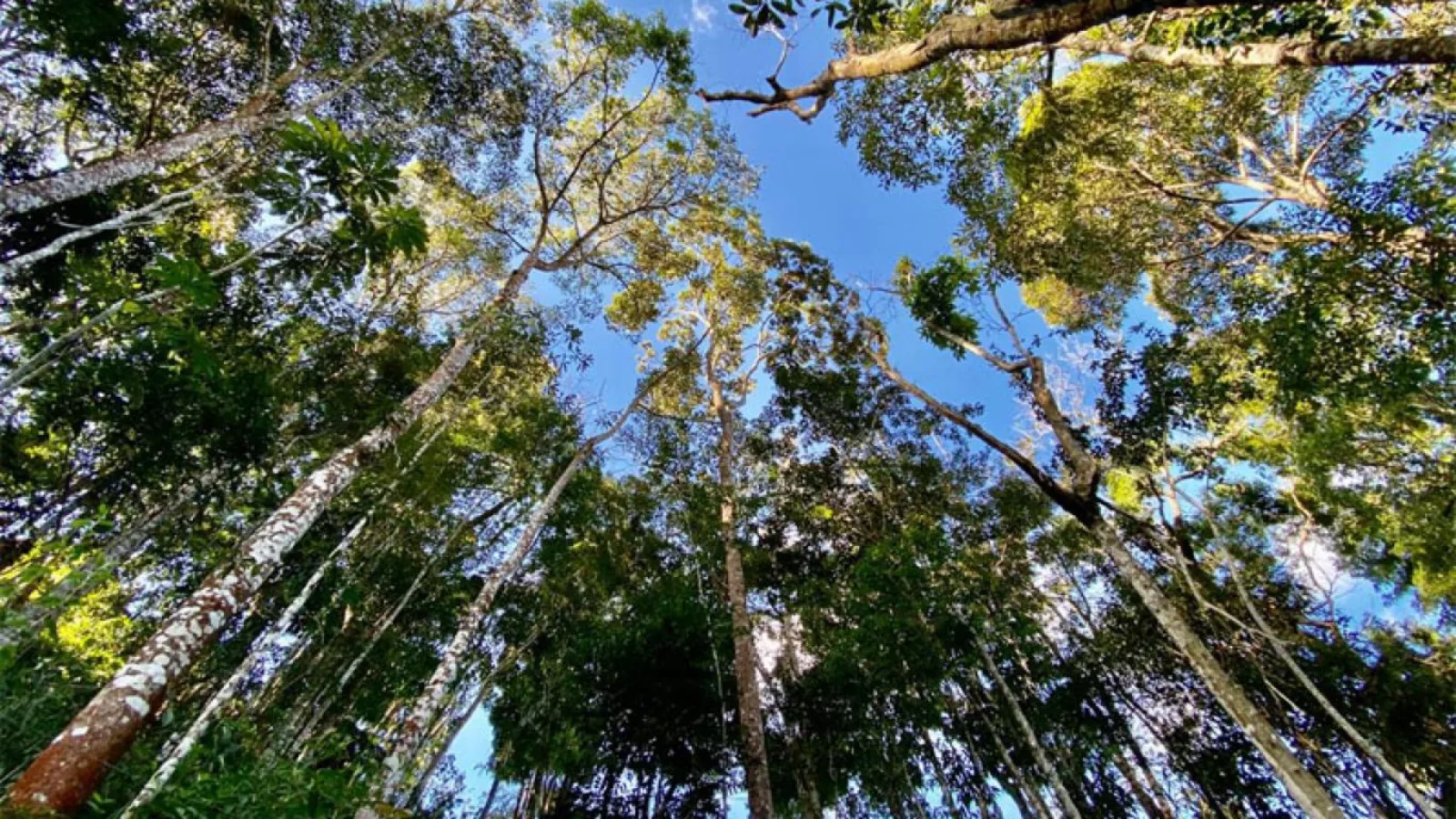 Terreno de 1.700m² com platô e projeto aprovado – venda em Itaipava      Condomínio fechado com fácil acesso à BR-040 e ao centro de Itaipava.